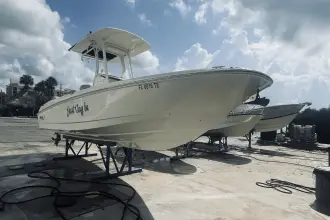 Thumbnail von Boston Whaler 270 Dauntless