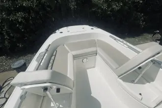 Thumbnail von Boston Whaler 270 Dauntless