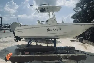 Thumbnail von Boston Whaler 270 Dauntless