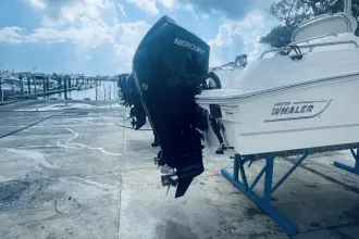 Thumbnail von Boston Whaler 270 Dauntless