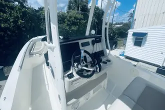 Thumbnail von Boston Whaler 270 Dauntless