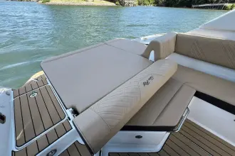 Thumbnail von Sea Ray SDX 250