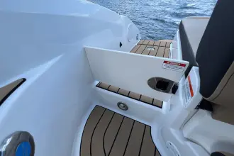 Thumbnail von Sea Ray SDX 250
