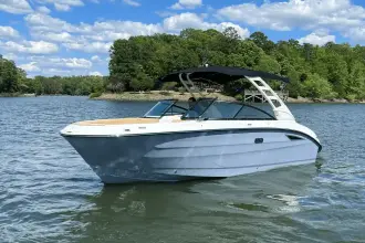 Thumbnail von Sea Ray SDX 250