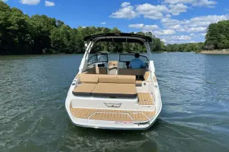 Thumbnail von Sea Ray SDX 250