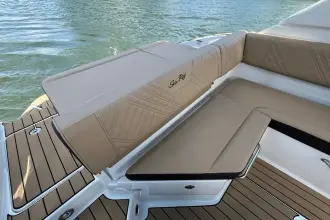 Thumbnail von Sea Ray SDX 250
