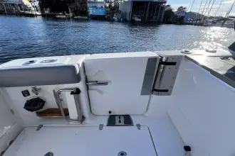 Thumbnail von Boston Whaler 380 Realm