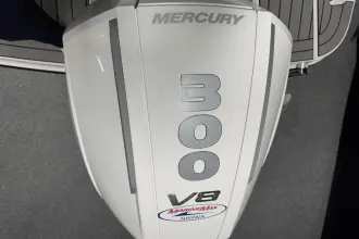 Thumbnail von Sea Ray SDX 250 Outboard