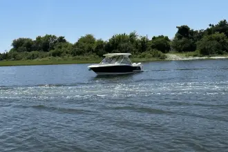 Thumbnail von Scout 255 Dorado