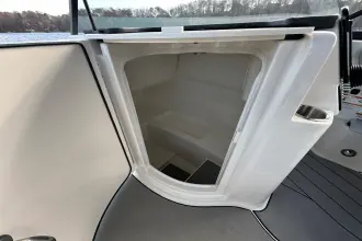 Thumbnail von Sea Ray SDX 250 Surf