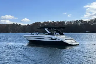 Thumbnail von Sea Ray SDX 250 Surf