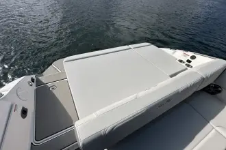 Thumbnail von Sea Ray SDX 250 Surf
