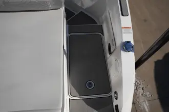 Thumbnail von Sea Ray SDX 250 Surf