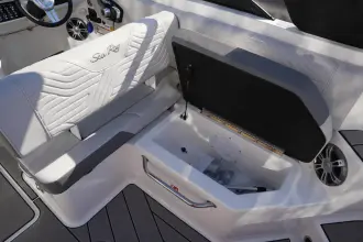 Thumbnail von Sea Ray SDX 250 Surf