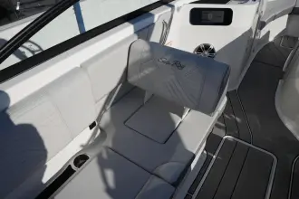 Thumbnail von Sea Ray SDX 250 Surf