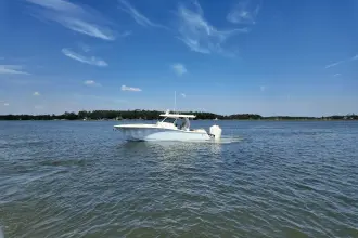 Thumbnail von Scout 377 LXF