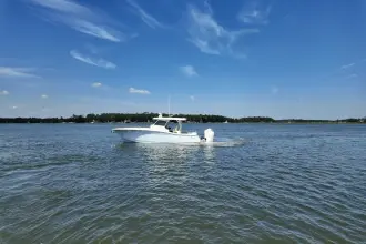 Thumbnail von Scout 377 LXF