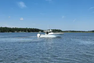 Thumbnail von Scout 377 LXF