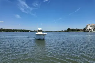 Thumbnail von Scout 377 LXF