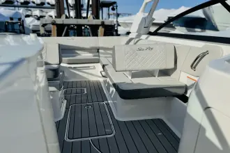 Thumbnail von Sea Ray SDX 250