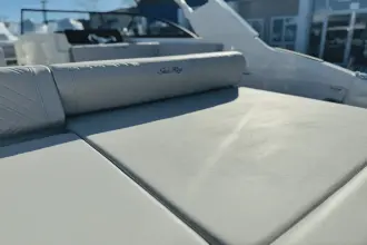 Thumbnail von Sea Ray SDX 250