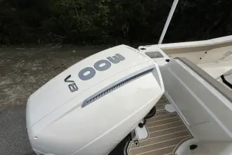 Thumbnail von Scout 240 XSF