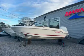 Thumbnail von Boston Whaler 210 Vantage