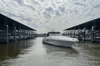 Thumbnail von Sea Ray 52 Sundancer