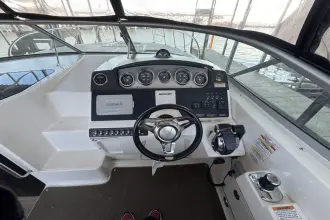 Thumbnail von Sea Ray Sundancer 310