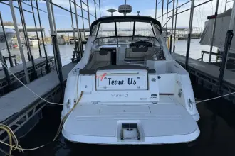 Thumbnail von Sea Ray Sundancer 310