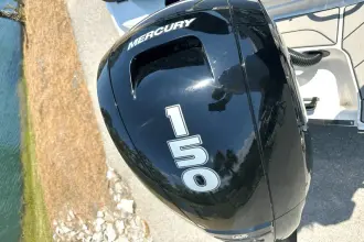 Thumbnail von Sea Ray SPX 190