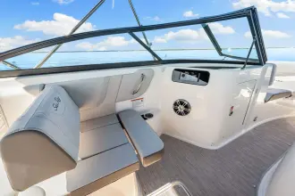 Thumbnail von Sea Ray SDX 250 Outboard