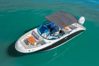Thumbnail von Sea Ray SDX 250 Outboard