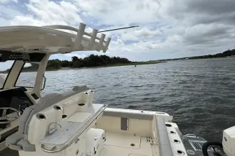 Thumbnail von Scout 260 LXF