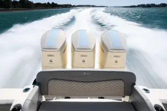 Thumbnail von Scout 425 LXF