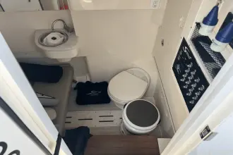 Thumbnail von Scout 305 LXF