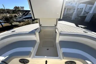 Thumbnail von Scout 281 XSS