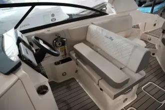 Thumbnail von Sea Ray SDX 250 Surf