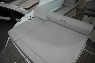 Thumbnail von Sea Ray SDX 250 Surf