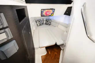 Thumbnail von Boston Whaler 350 Realm