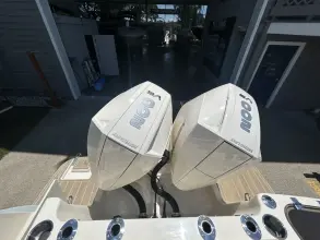 Thumbnail von Scout 255 Dorado