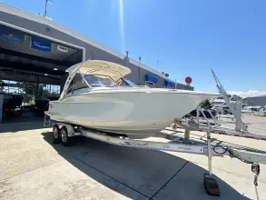 Thumbnail von Scout 255 Dorado