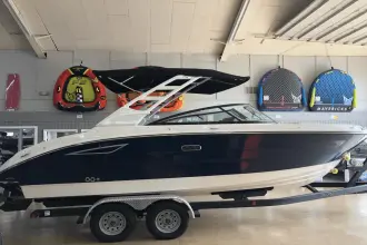 Thumbnail von Sea Ray SDX 250