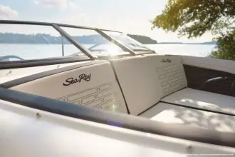 Thumbnail von Sea Ray SPX 190