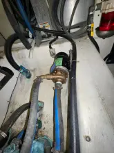 Thumbnail von Carver 506 Motor Yacht