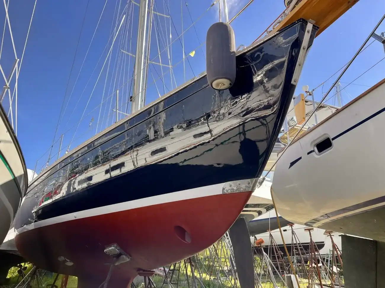 Thumbnail von Shannon 43