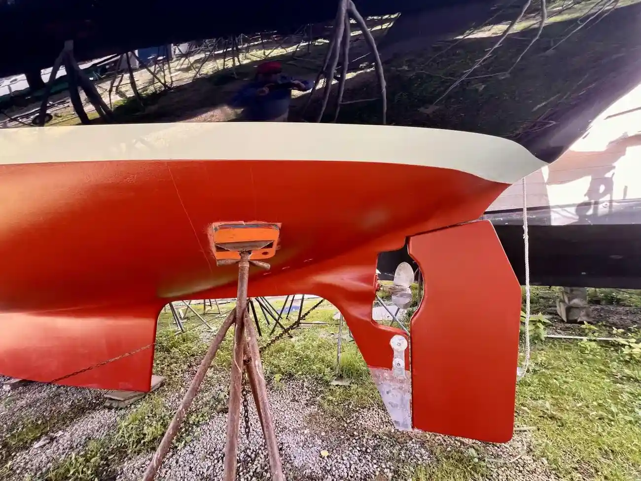 Thumbnail von Shannon 43