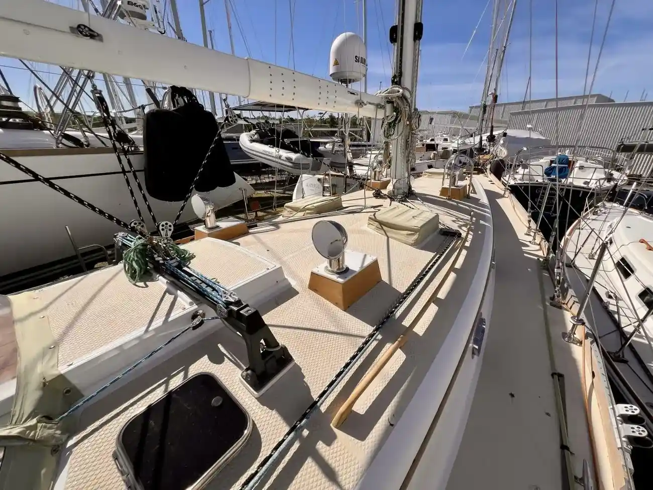 Thumbnail von Shannon 43