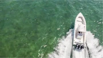 Thumbnail von Fountain 38 Sportfish Cruiser