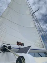 Thumbnail von Palmer Johnson 92 Sunday Morning